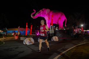 BIB: 
                            <button type="button" onclick="openModal(26552172)" class="btn btn-primary btn-sm float-right btn-popup" data-toggle="modal" data-target=".modal-high-quality">
                        <i class="fas fa-shopping-cart"></i> Add to Cart
                    </button>
                                            <button type="button" onclick="isThisMe(26552172, true)" class="btn btn-success btn-sm float-right btn-popup btn-isme hidden" data-toggle="tooltip" data-placement="bottom" title="นี่คือรูปของคุณใช่ไหม คลิกที่นี่เพื่อเอาเข้าอัลบั้ม">
                        <i class="fas fa-plus"></i> Add to album
                    </button>
                    <button type="button" onclick="isThisMe(26552172, false)" class="btn btn-warning btn-sm float-right btn-popup btn-isnotme hidden">
                        <i class="fas fa-ban"></i> Remove from album
                    </button>